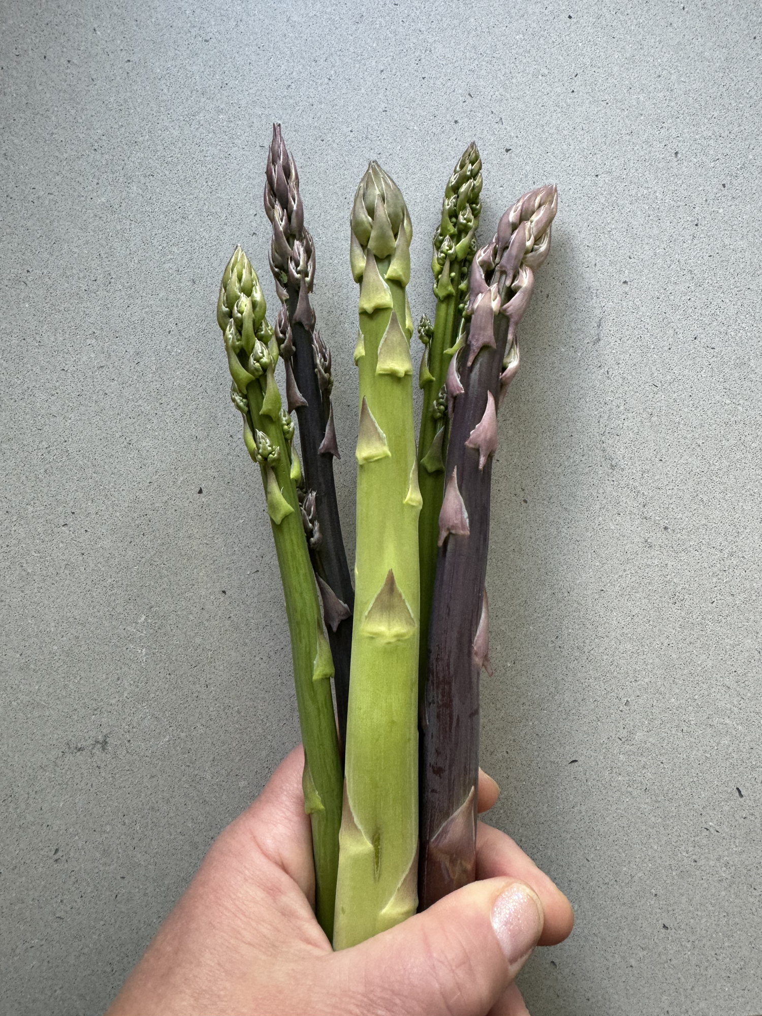 asparagus