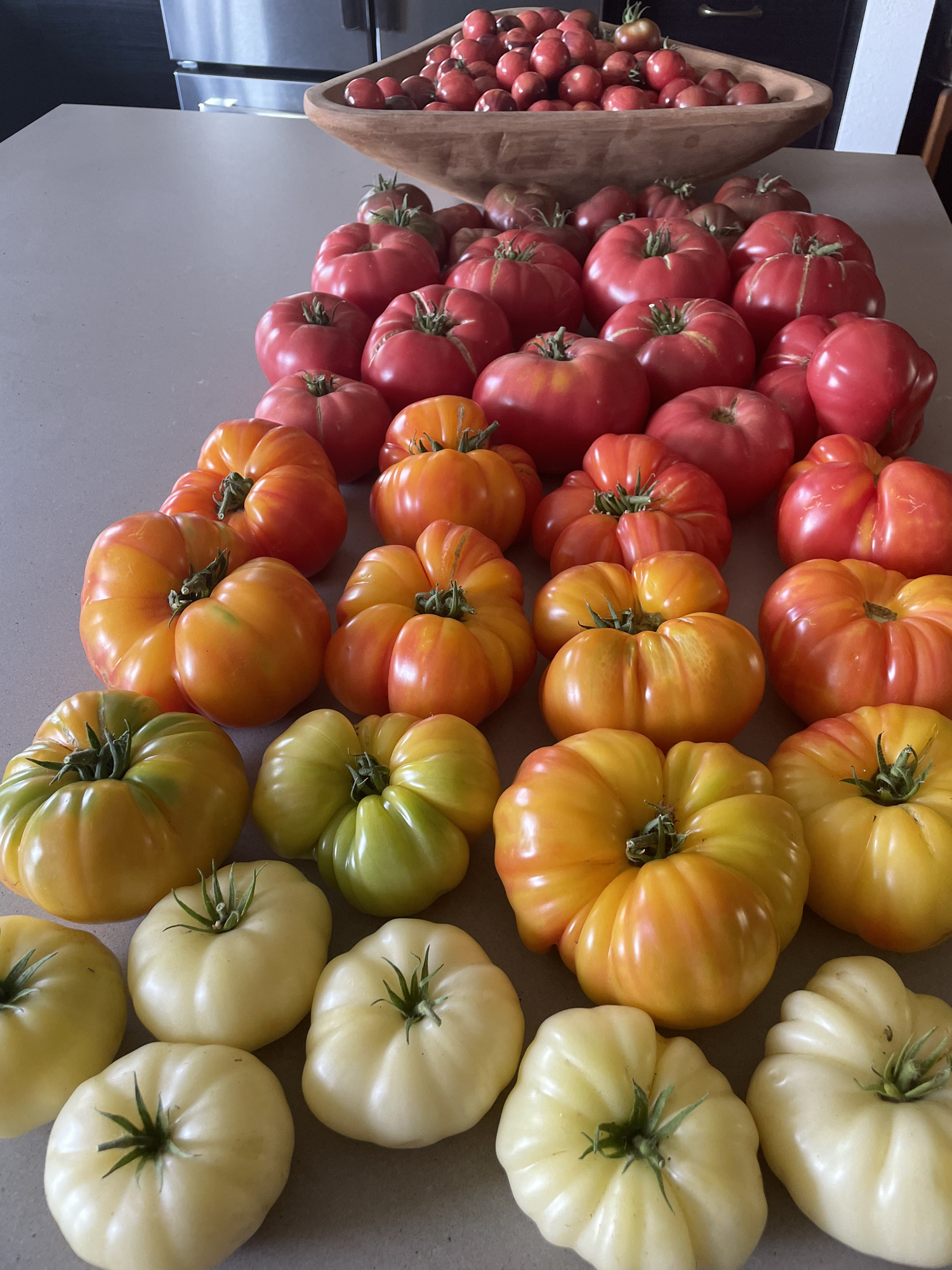 tomatoes