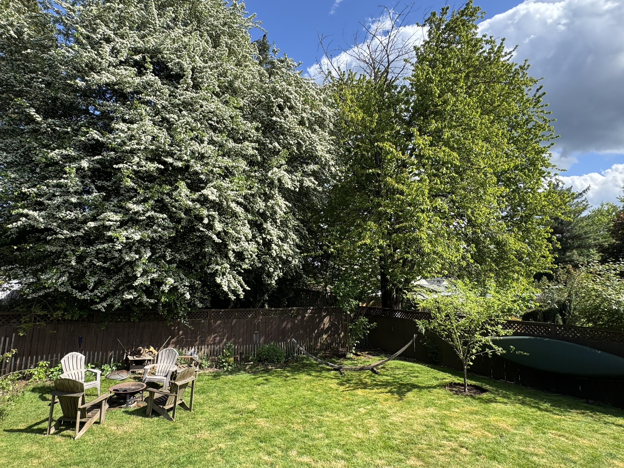 backyard-firepit