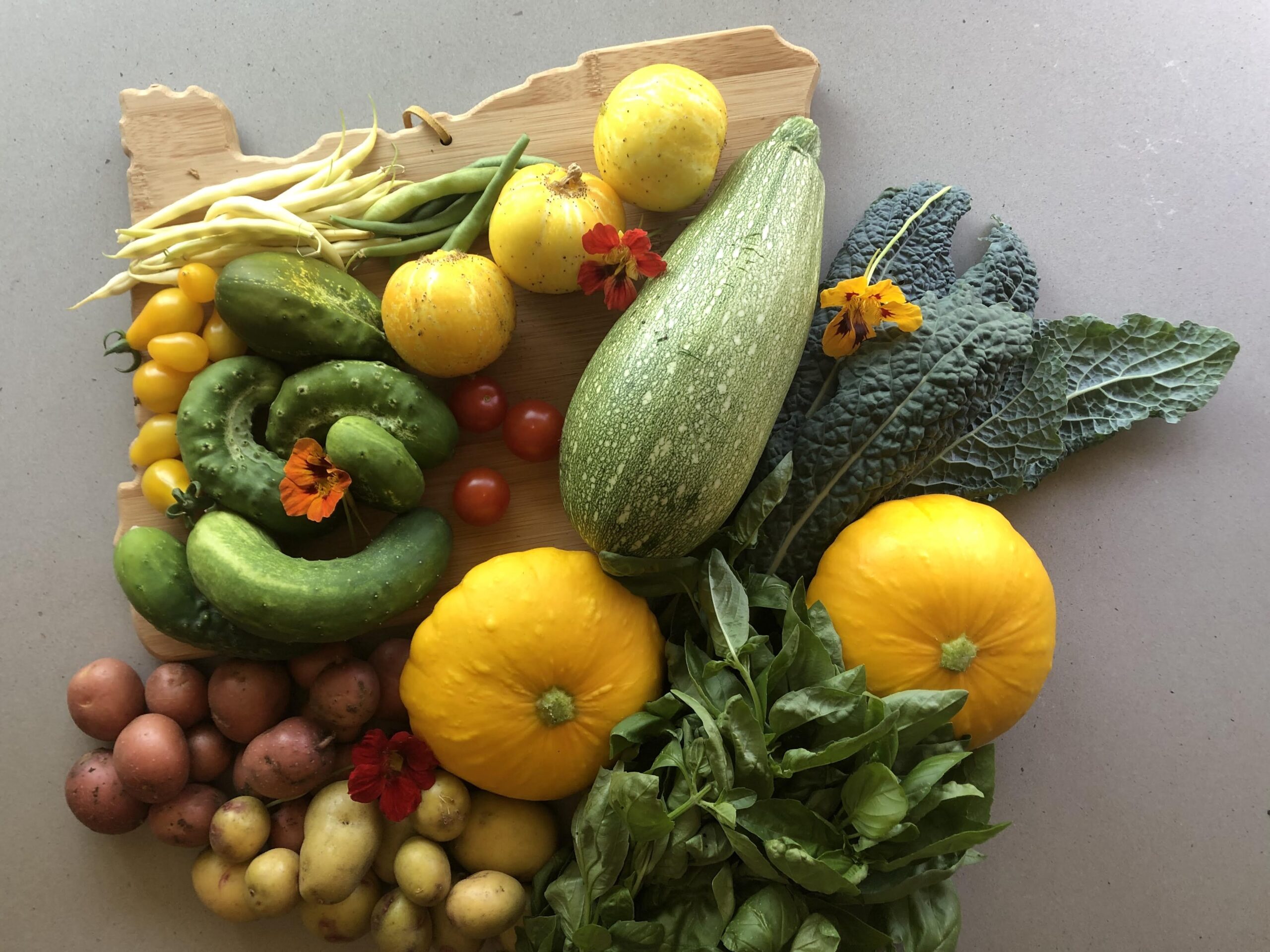 garden-bounty